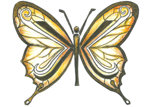 butterfly